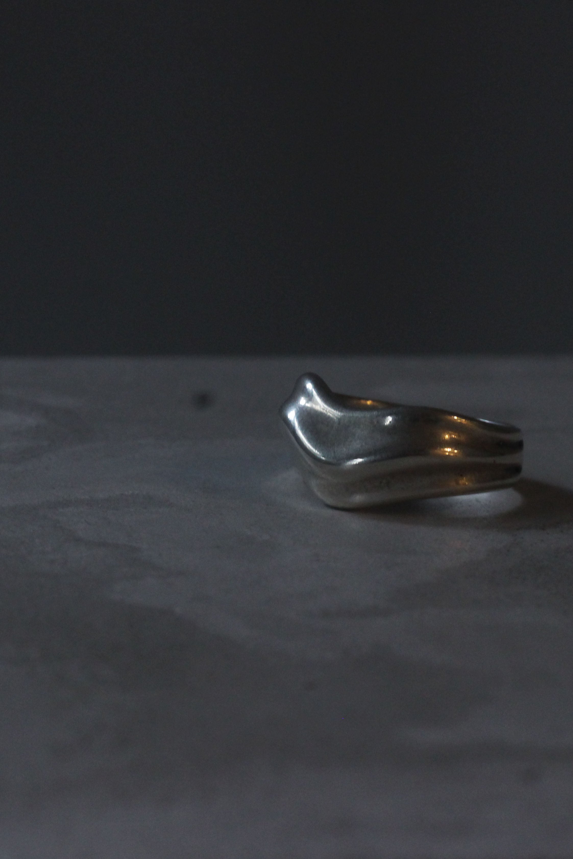 silver jewelry “ Incrowd Cast Ring SS12 ”